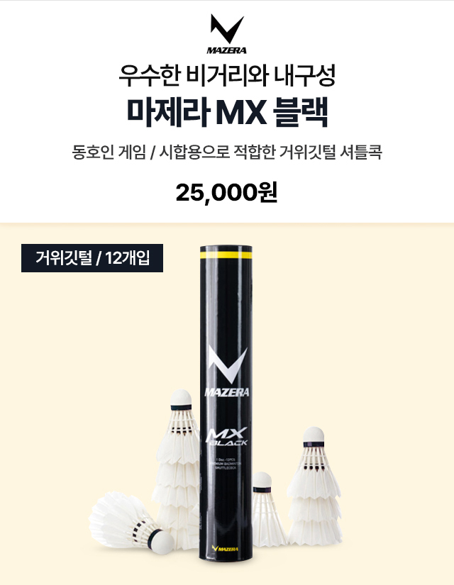  MX 